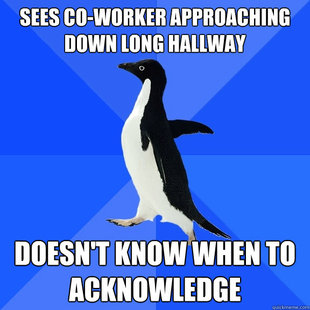 Socially Awkward Penguin
