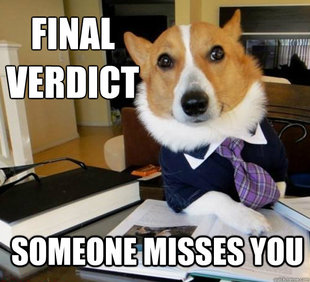 Lawyer Dog