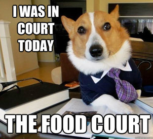 Lawyer Dog
