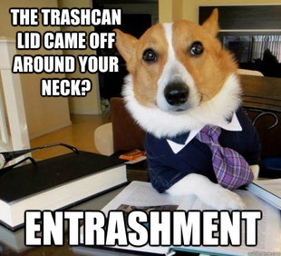 Lawyer Dog