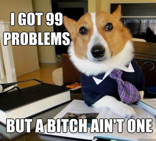 Lawyer Dog