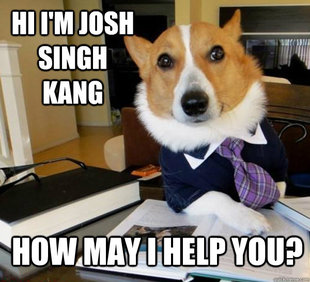Lawyer Dog