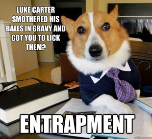 Lawyer Dog
