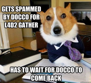 Lawyer Dog