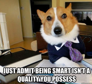 Lawyer Dog