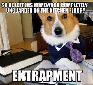 Lawyer Dog