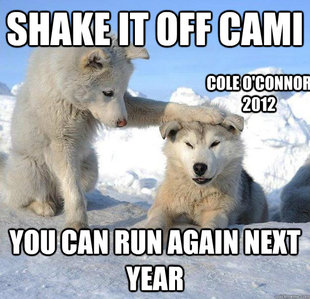 Caring Husky