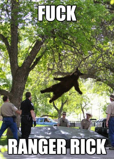 i am a falling bear