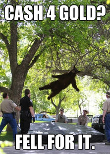 Falling Bear