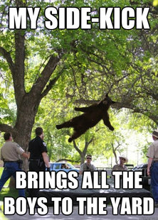 i am a falling bear