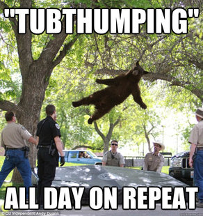 falling bear