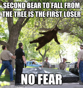 falling bear