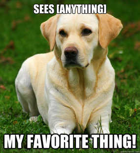 Dog Logic