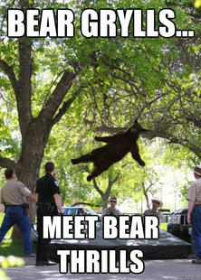 Falling Bear
