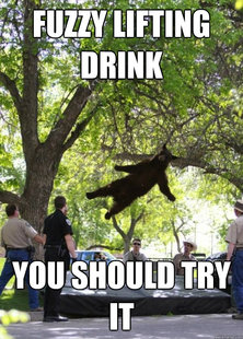 i am a falling bear
