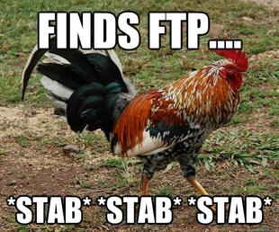 Red Team Rooster