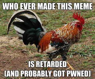 Red Team Rooster