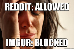 First World Problems