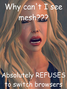 secondlifeproblems