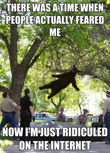 i am a falling bear