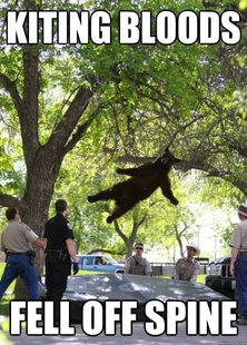 i am a falling bear