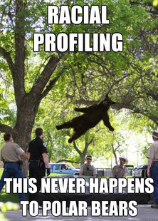 i am a falling bear