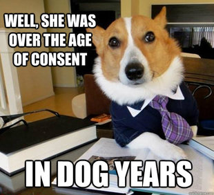 Lawyer Dog