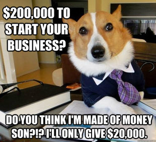 Lawyer Dog