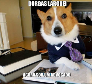 Lawyer Dog