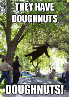 i am a falling bear