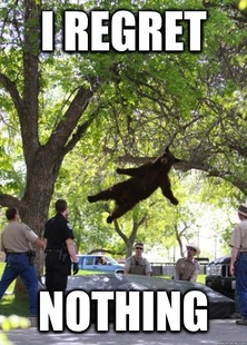 i am a falling bear