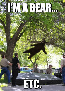 i am a falling bear