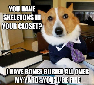 Lawyer Dog
