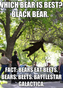 i am a falling bear