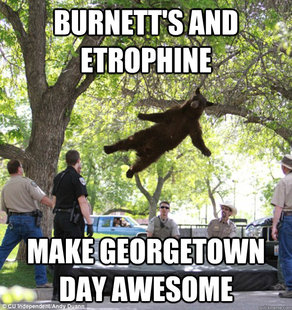 falling bear