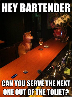 Alcoholic dog