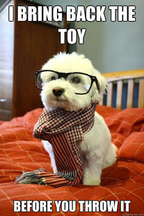 Hipster Dog
