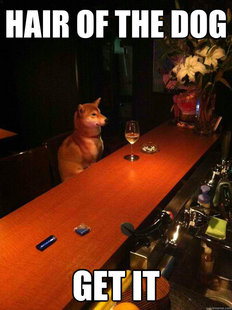 Alcoholic dog