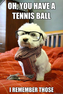 Hipster Dog