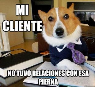 Lawyer Dog