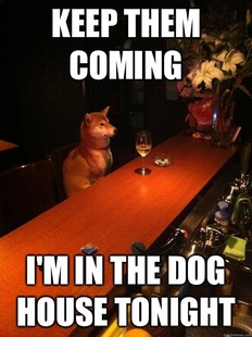Alcoholic dog