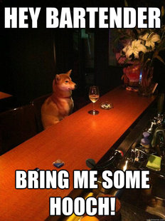 Alcoholic dog