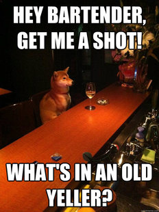 Alcoholic dog