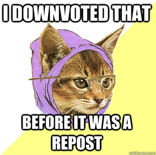 Hipster Kitty