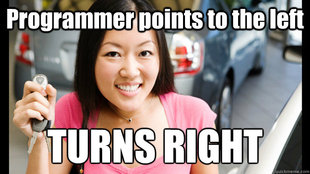 Female Asian Driver