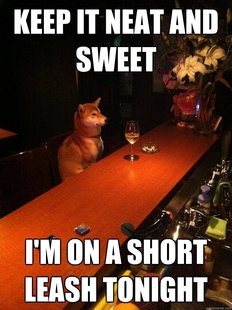 Alcoholic dog
