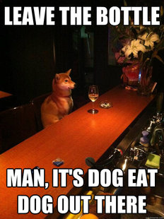 Alcoholic dog