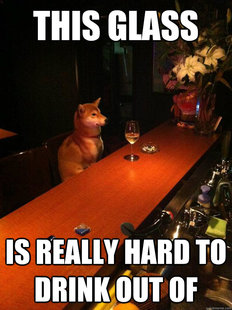 Alcoholic dog