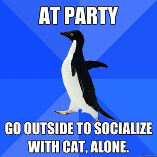 Socially Awkward Penguin