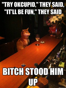 Alcoholic dog